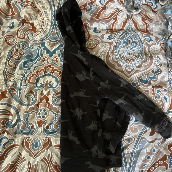 Old navy size 5t dinosaur zip up hoodie - Picture 3 of 3